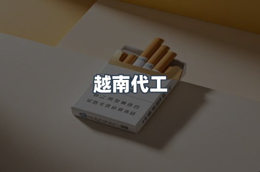 越南代工